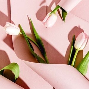 Meet your Posher, Anaë